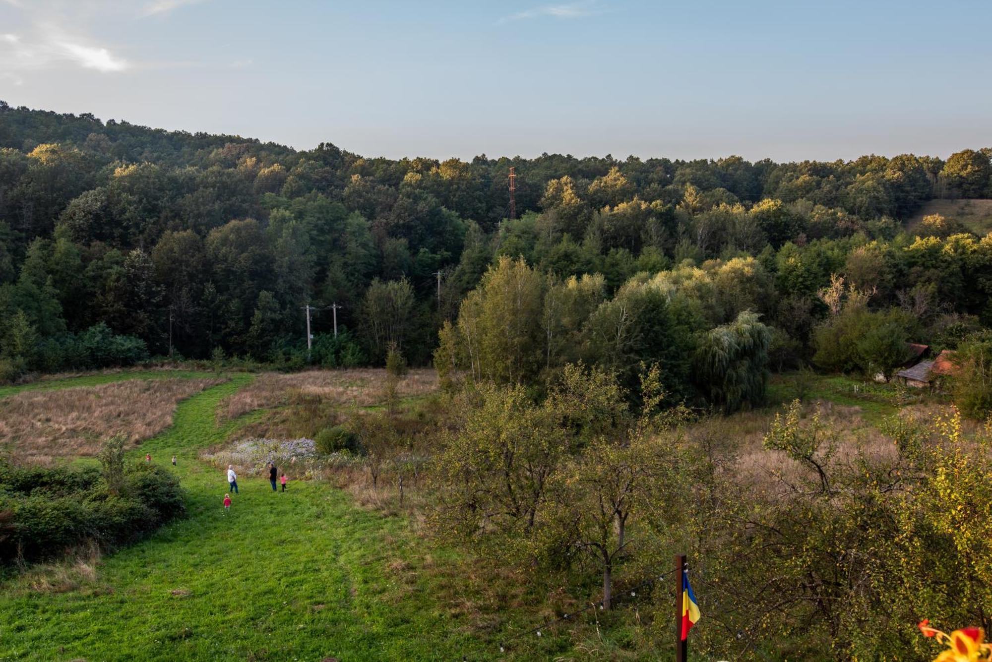 Hanu Fain Hotel Resita Buitenkant foto